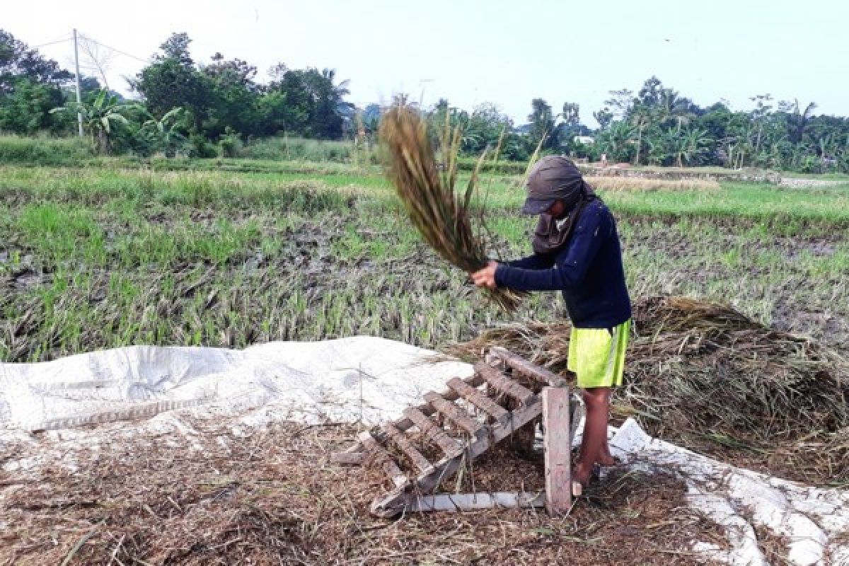 NTP Banten Oktober Naik 0,32 Persen