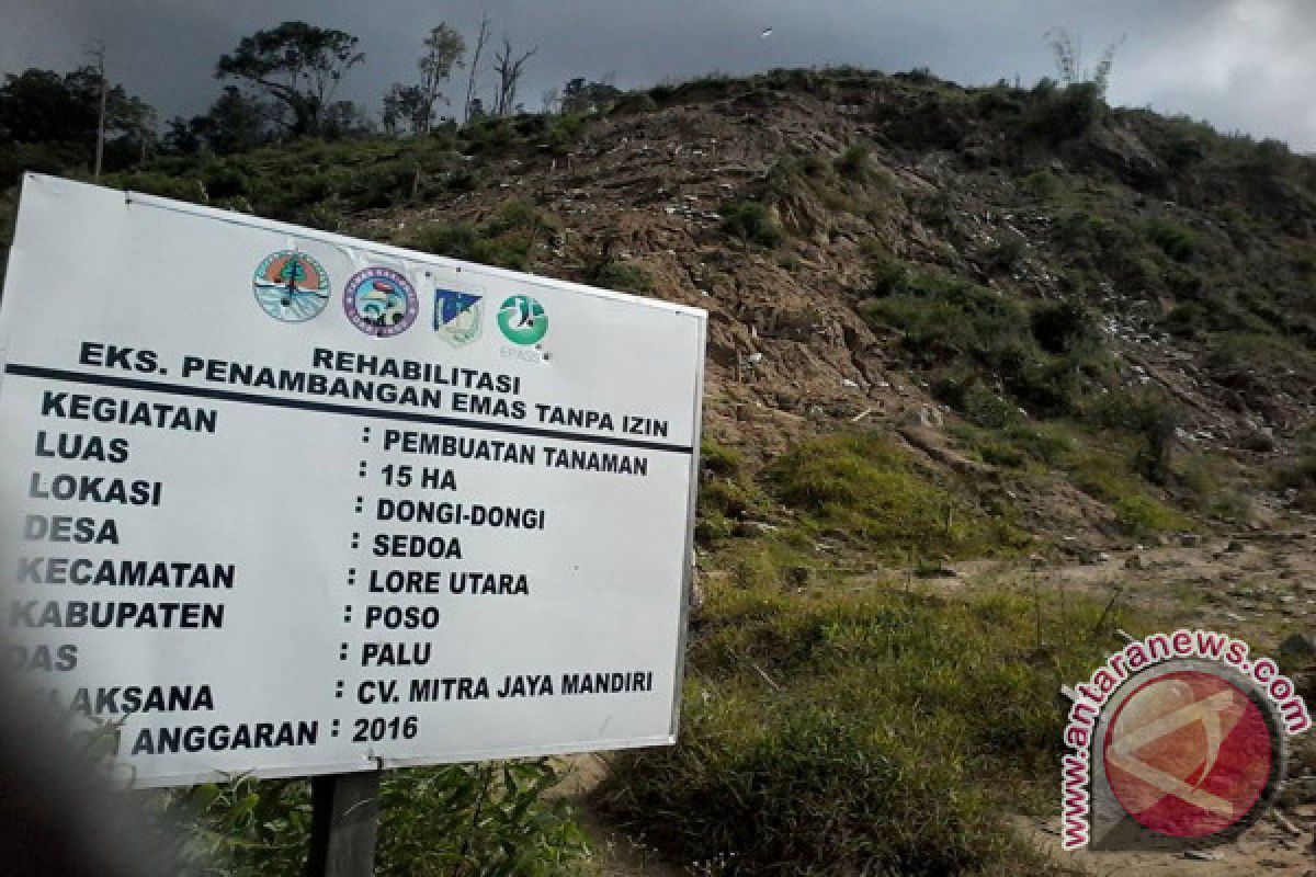 TNLL: Masih Ada Penambangan Emas Di Dongi Dongi 