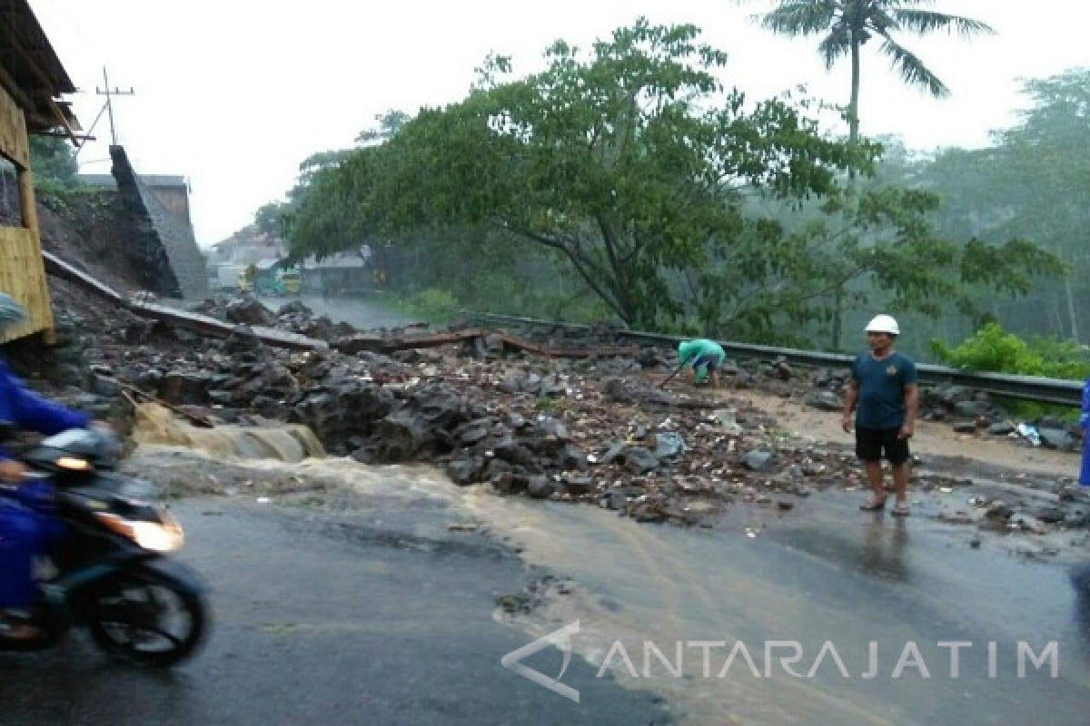 BPBD Kediri: Waspadai Pohon Tumbang dan Longsor saat Hujan 