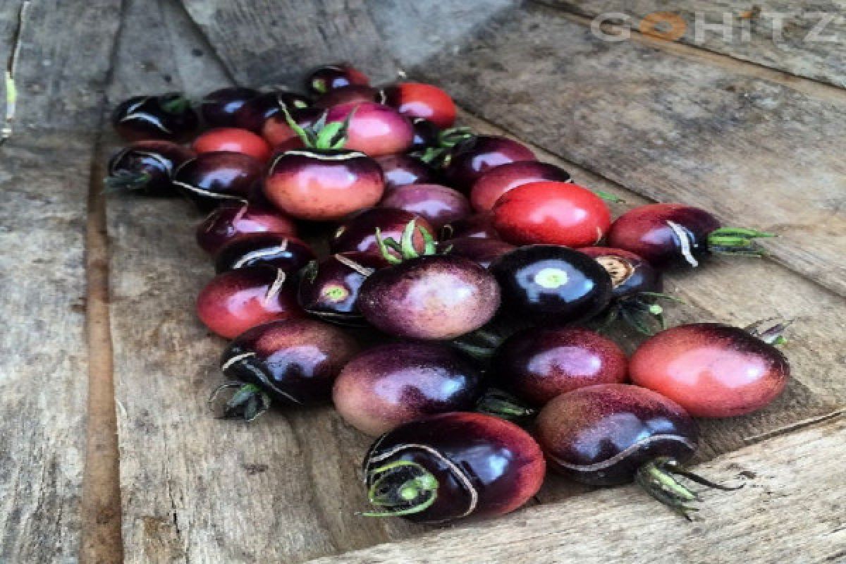 Lima Jenis Buah ini Bisa Meredakan Batuk