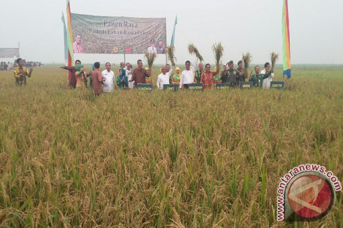 Mentan Panen Perdana Padi Lebak Di HSS