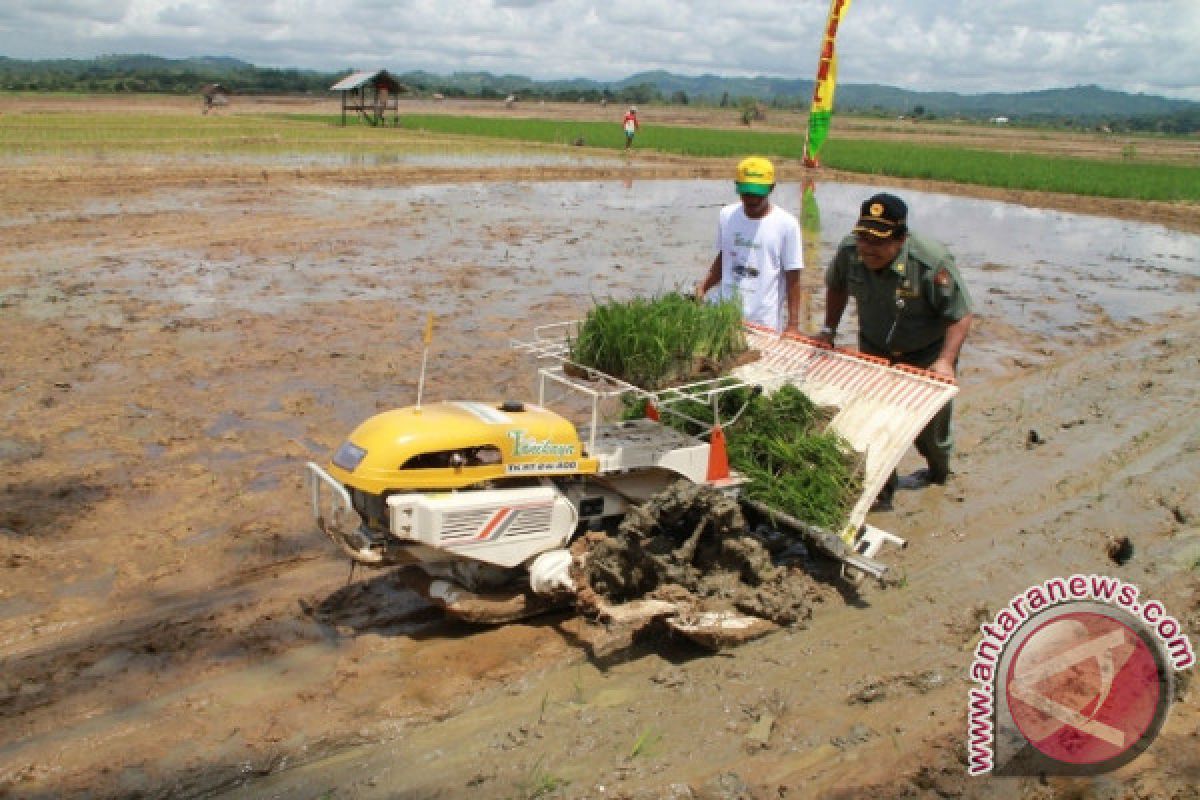  Cetak Sawah Sudah Capai 90 Persen