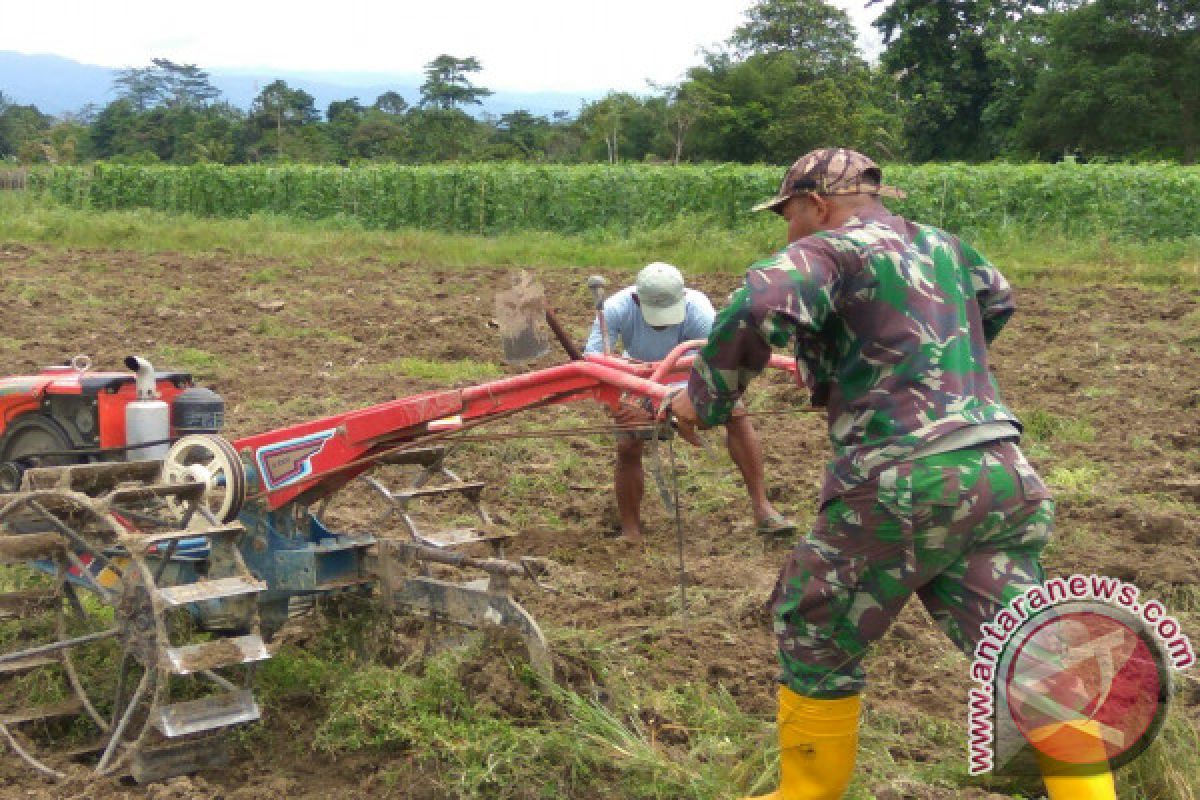 Biaya produksi tinggi, petani Wondama berhenti tanam padi