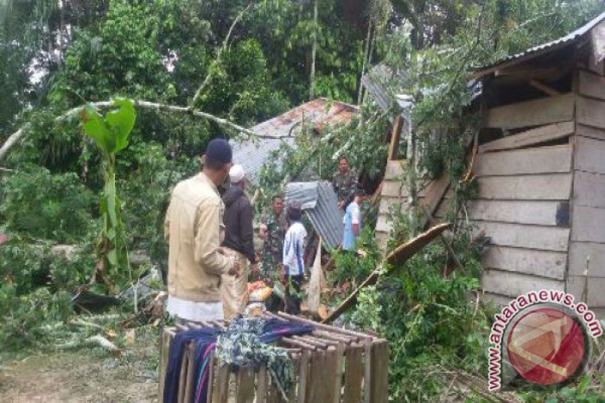 Warga Batanghari Meninggal Tertimpa Pohon Kapuk