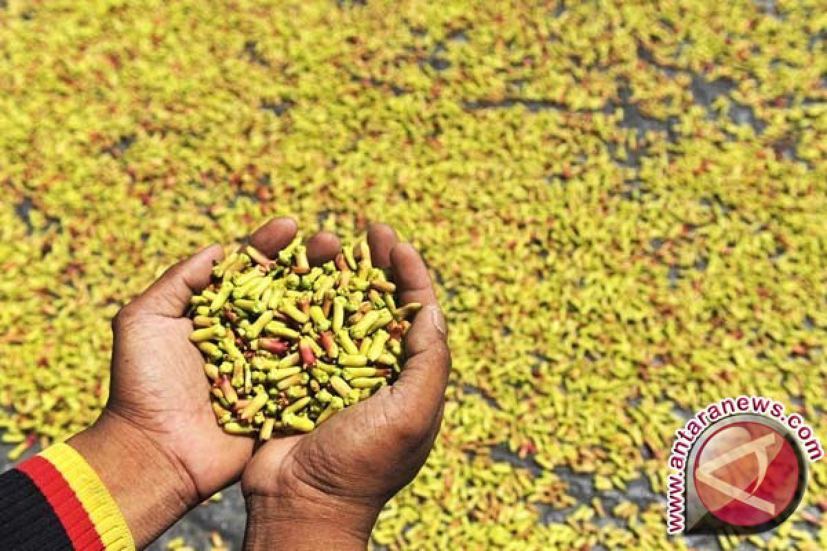 Petani di Malut minta Disperindag bantu atasi anjloknya harga cengkih