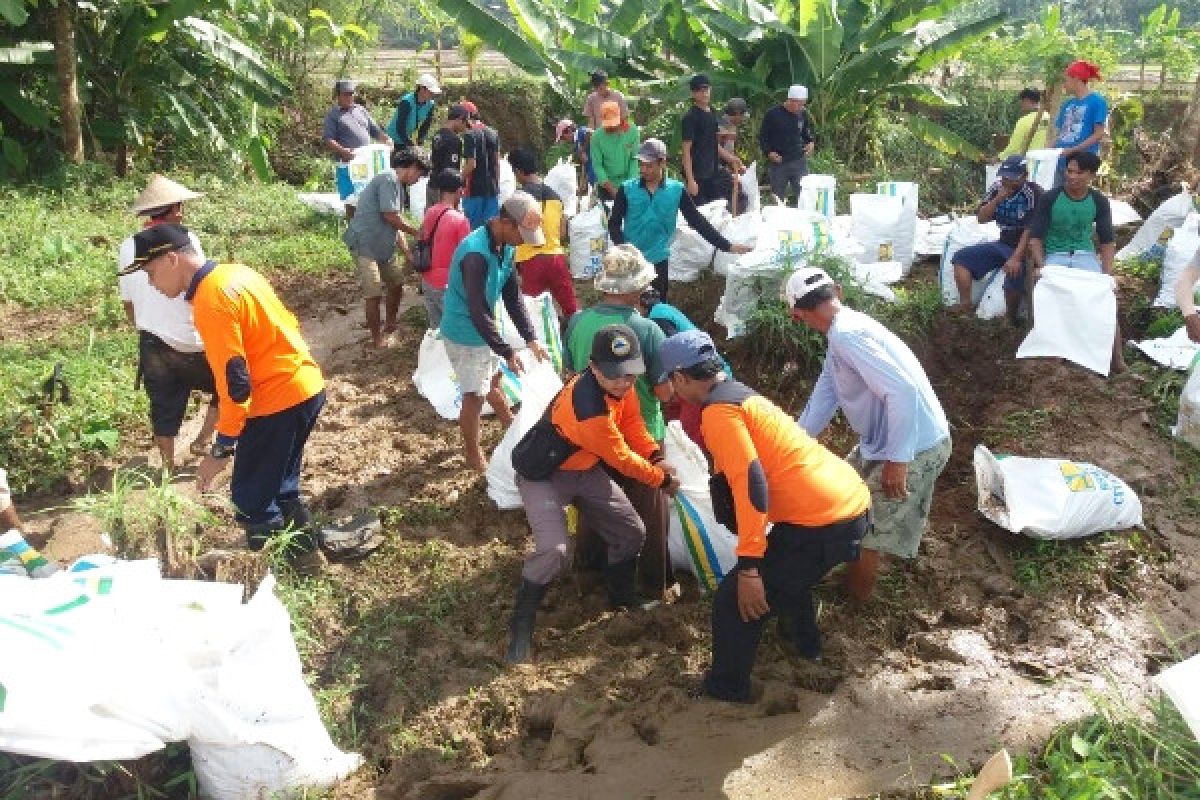 BPBD Cilacap: Banjir di Desa Madura Telah Surut