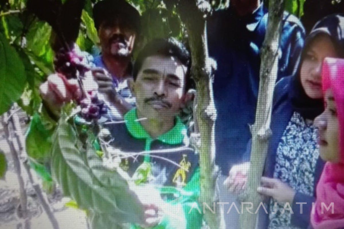 Petani Madiun Kenalkan Cita Rasa Kopi Wilis