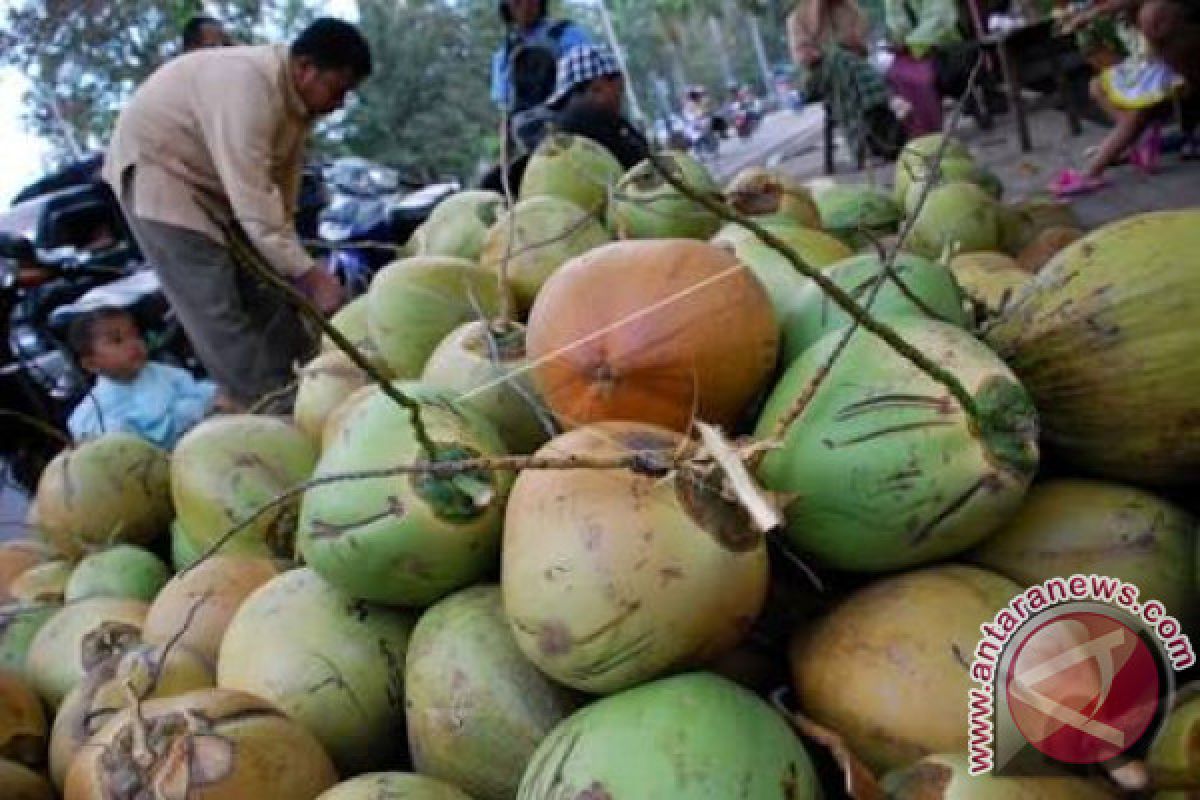 Petani kelapa minta pemprov realisasikan janji