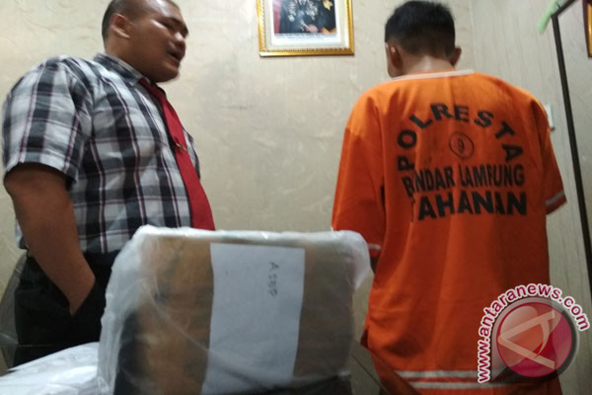 Polresta Bandarlampung Tangkap Seorang Kurir Ganja