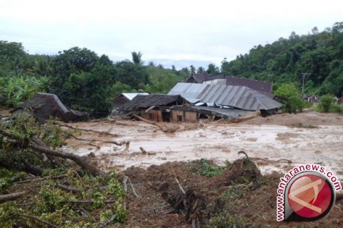 Banjir Hambat Produksi Kakao Petani Luwu Utara