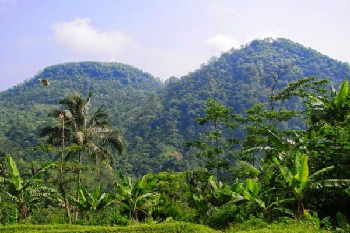 Keberadaan Satwa Dilindungi Di Gunung Sanggabuana Terancam