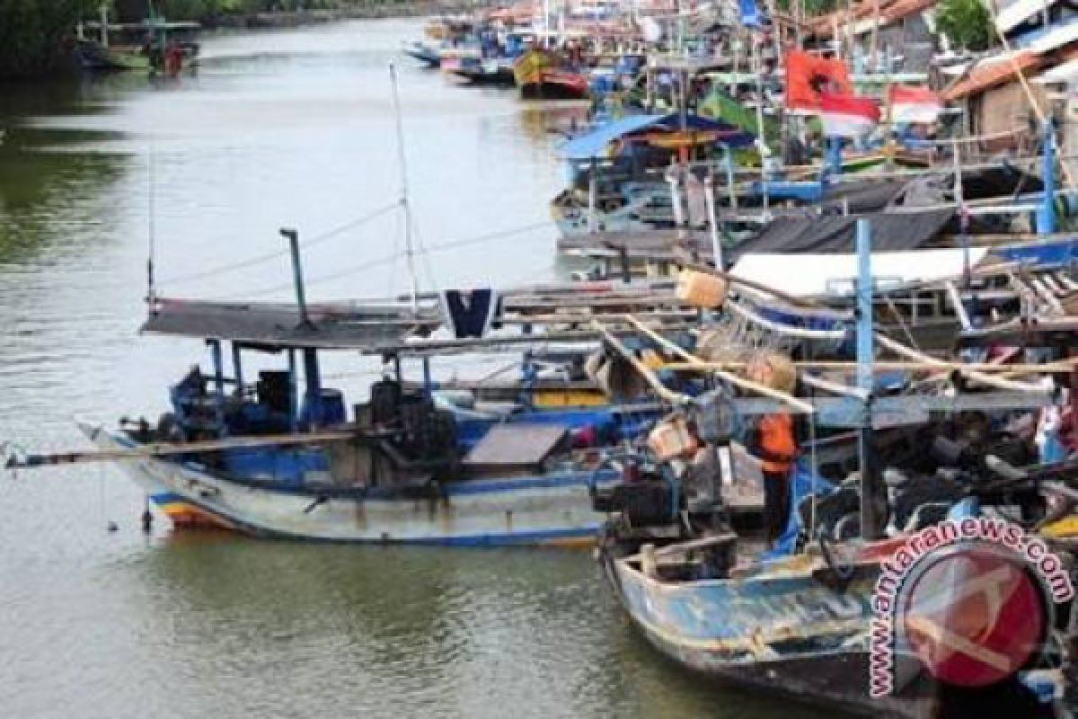 Pesisir Selatan Lebak Mulai Panen Kakap Merah