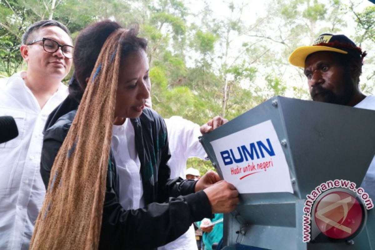 Sinergitas BUMN dukung peningkatan kualitas kopi Wamena