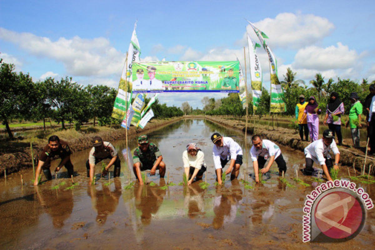 Padi dan Karet Produk Unggulan  Kementerian Desa