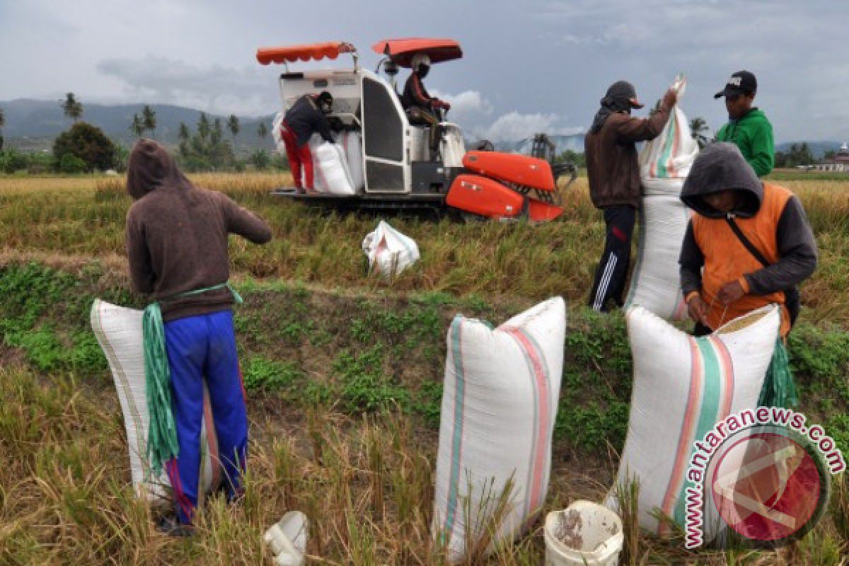 Petani Sigi minta bantuan alat produksi pertanian