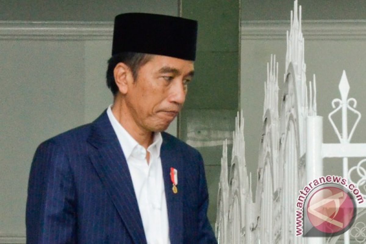 Widodo condemns mosque attack in Egypt