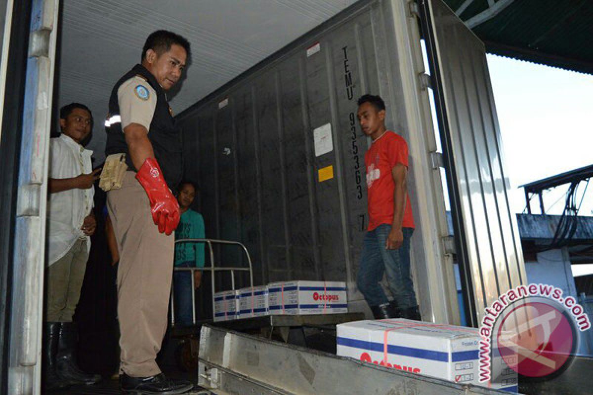 Kendari Salah Satu Lumbung Gurita Nasional 