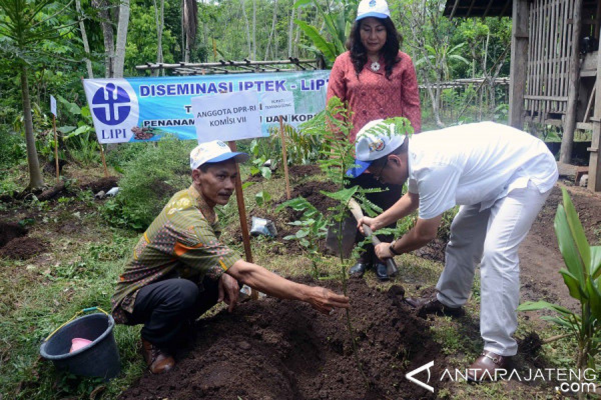 Lipi Bantu Ribuan Bibit Sengon dan Kopi di Temanggung