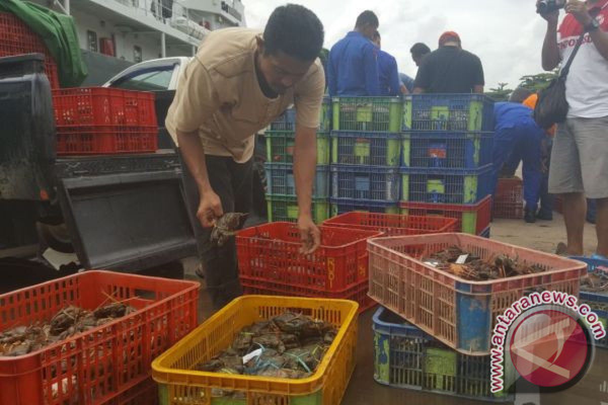 Ditpolair Gagalkan Pengiriman Kepiting Bertelur ke Malaysia
