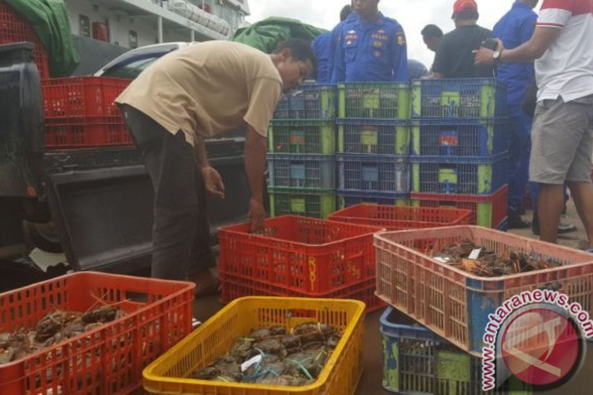 Penjualan Kepiting ke Malaysia Menjanjikan Keuntungan Besar