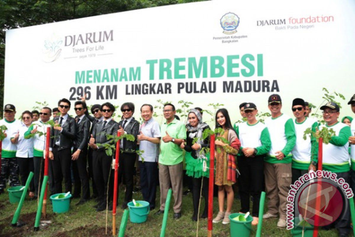 Membuat Udara Segar Lingkar Madura Dengan Trembesi