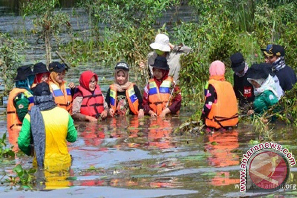 Rambai Selamatkan Sungai Dan Ekosistemnya 