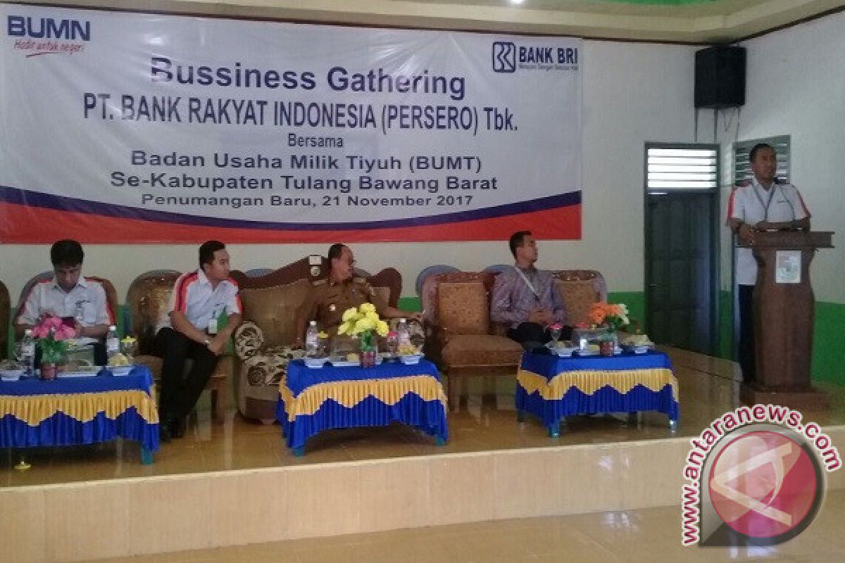 Kabupaten Tubaba Jadi "Pilot Project" Kerjasama BRI-BUMDes