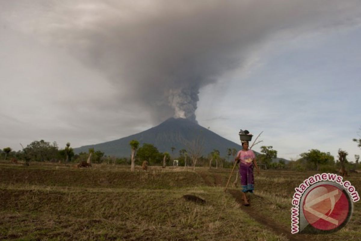 Gubernur Bali: 22 desa terdampak bencana Gunung Agung