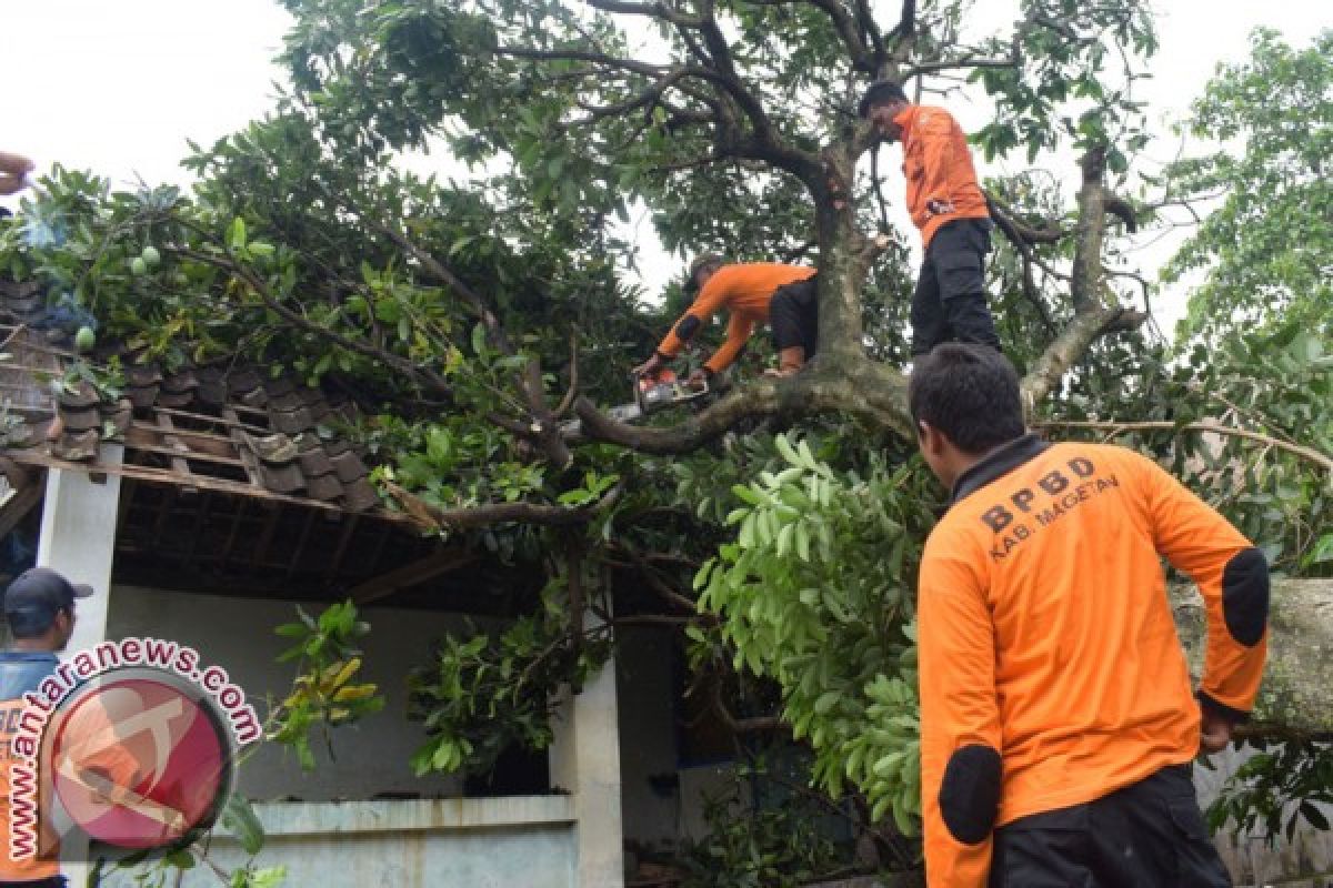 Polisi tangani warga meninggal tertimpa pohon