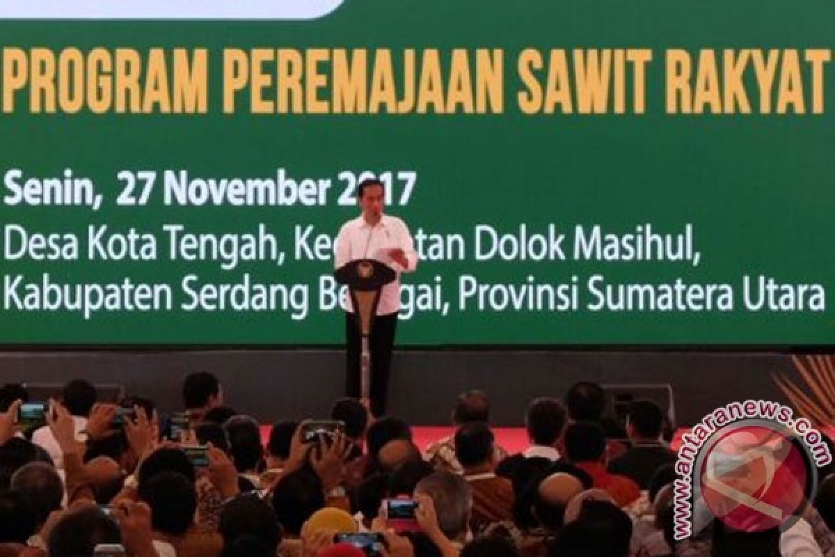 Provinsi Bengkulu remajakan 15.000 ha kebun sawit rakyat