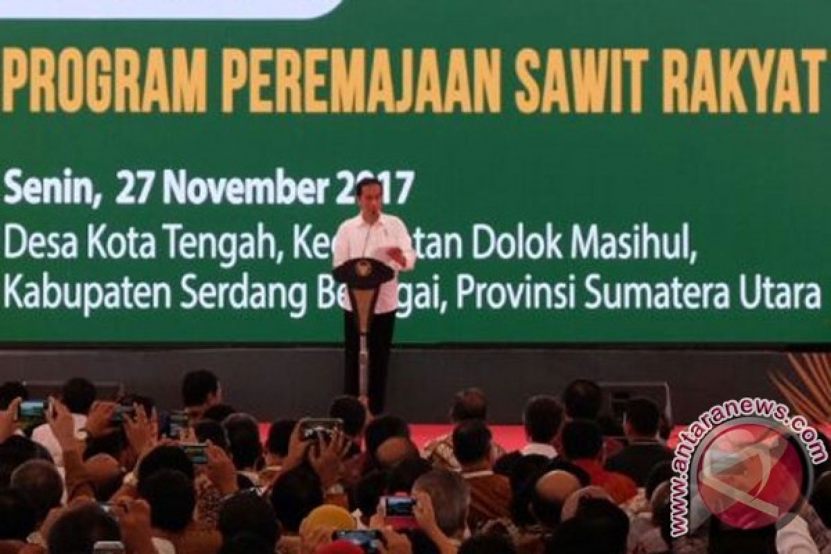 Apkasindo: Eropa berusaha matikan petani sawit Indonesia