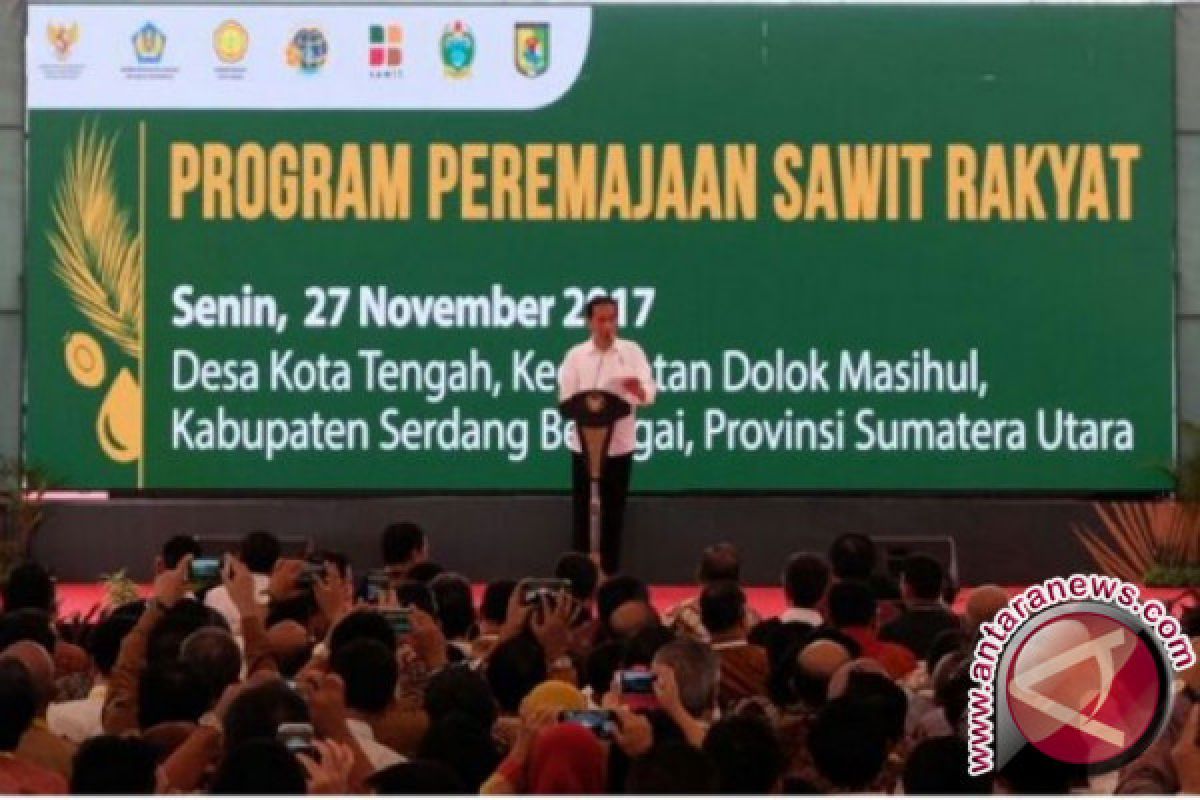 Replanting Sawit Di Sumut Gunakan Bibit PPKS 