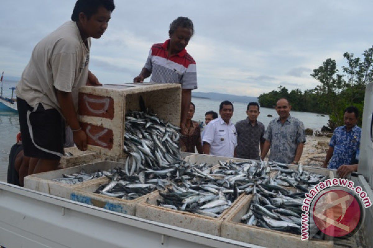Nelayan Banggai Laut buang ikan puluhan ton tiap bulan
