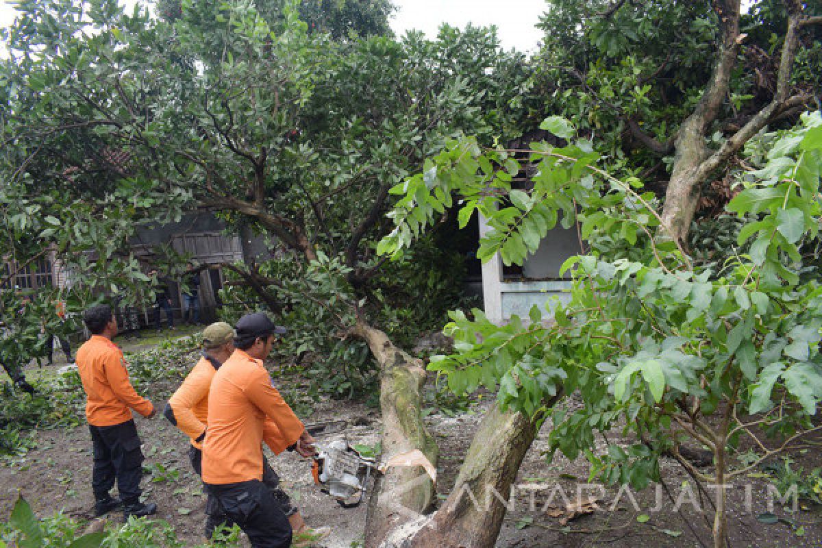 Angin Kencang Rusak Belasan Rumah di Ngawi