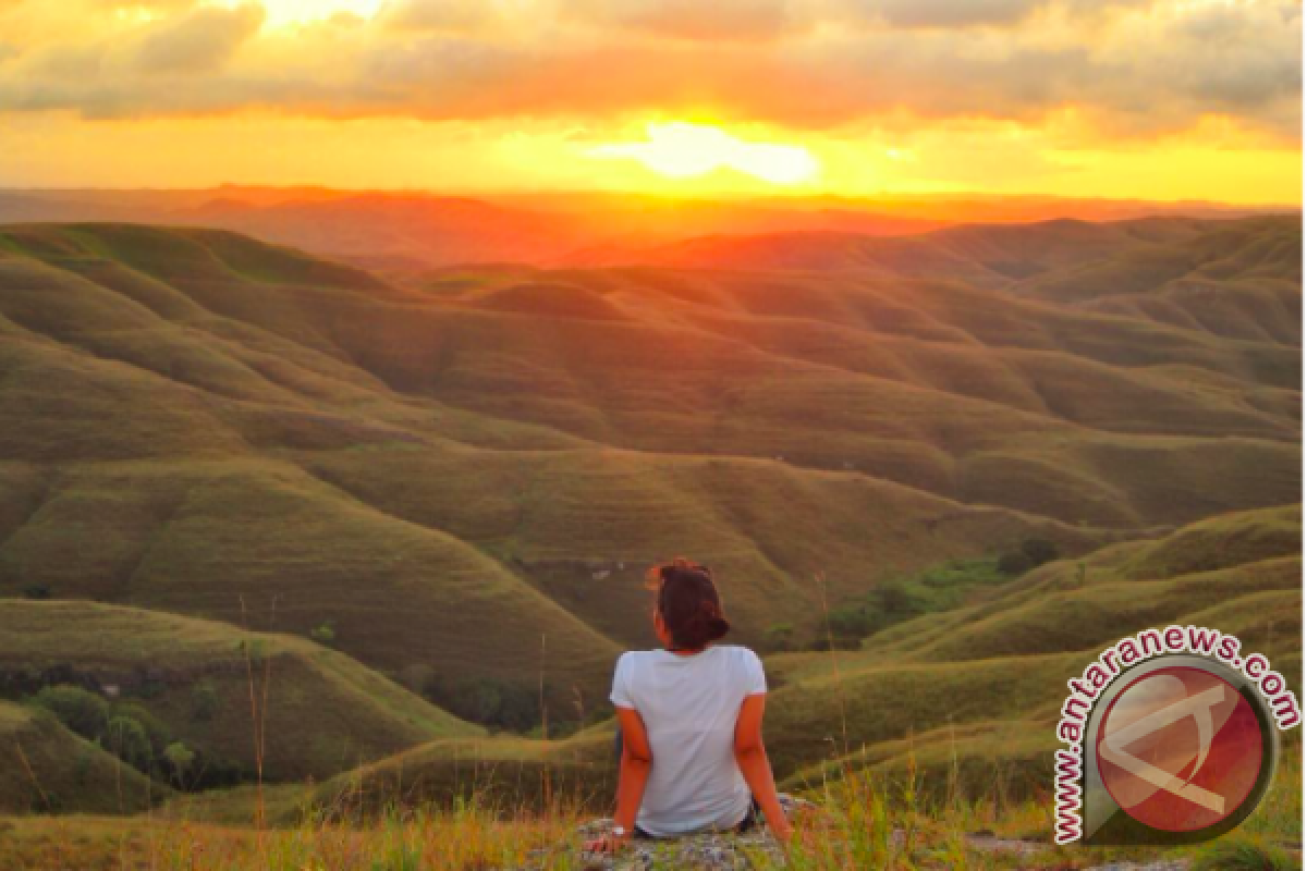 Akan ada wisata padang ternak di NTT