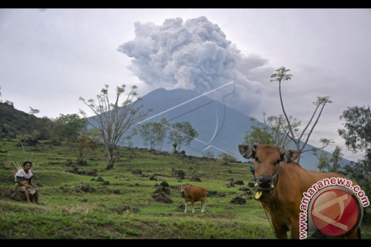 PVMBG: Gunung Agung Erupsi Bertekanan Sedang