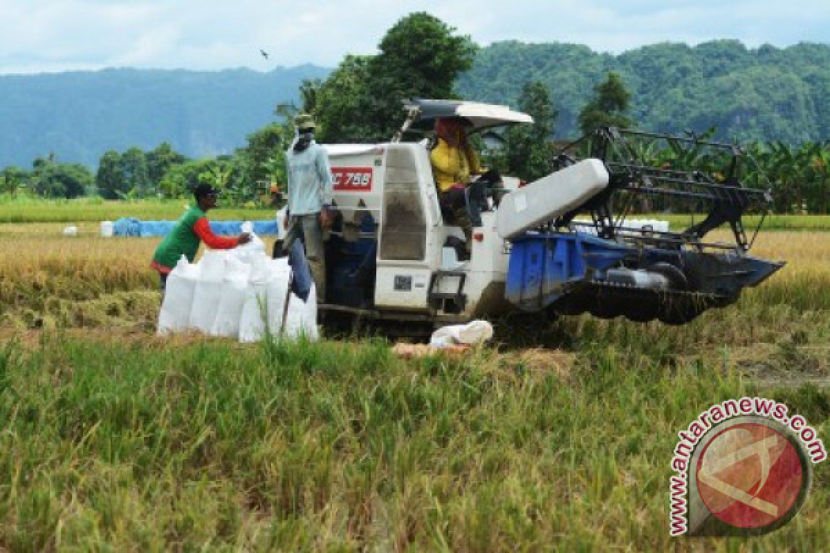 (Catatan akhir tahun) - Menjaga Petani dan godaan rupiah