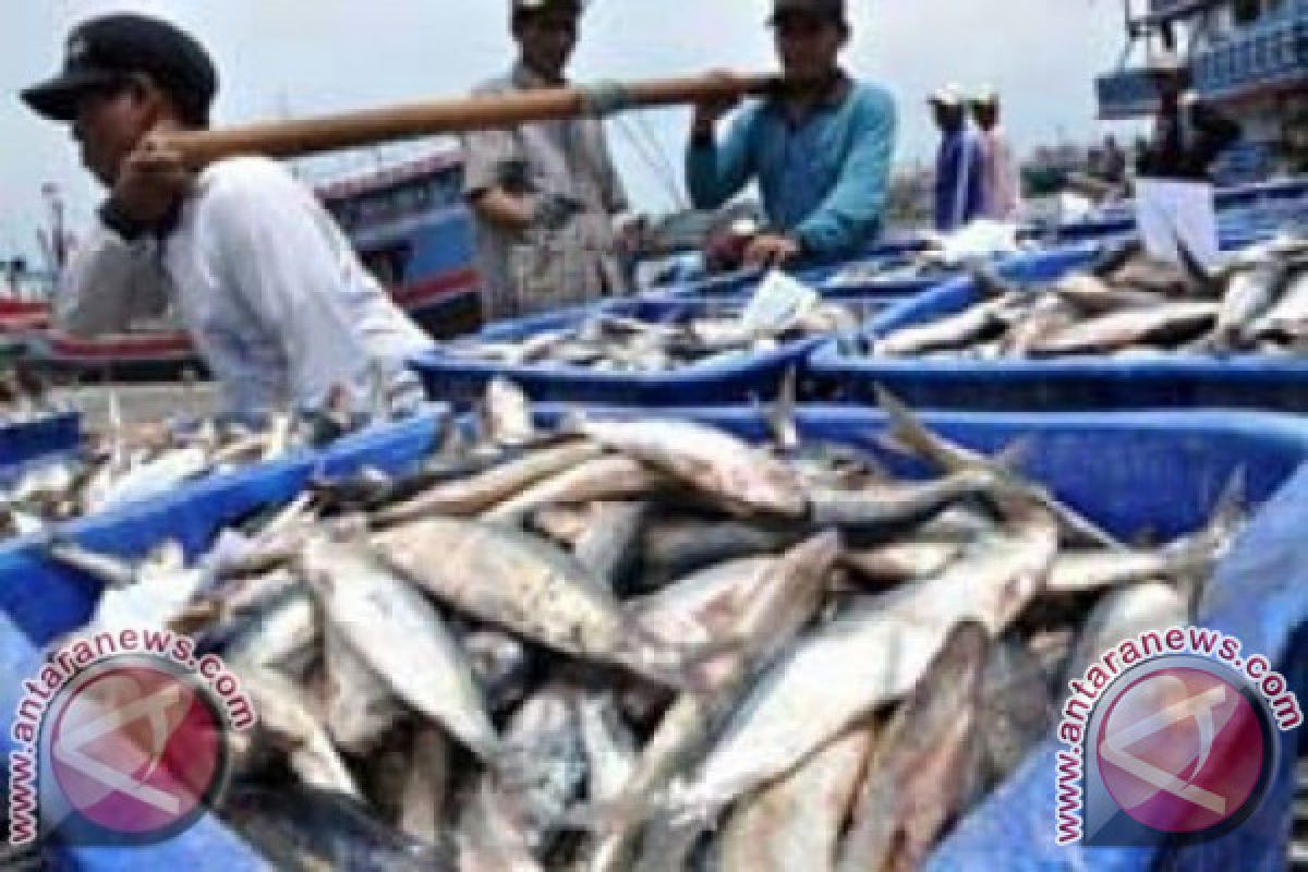 DKP Sultra Usul Pembangunan Dermaga Pendaratan Ikan 