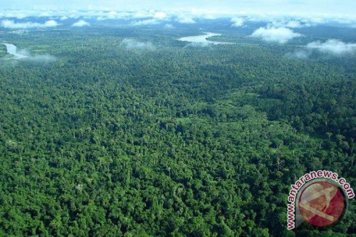 Komitmen Jaga Kelestarian Hutan