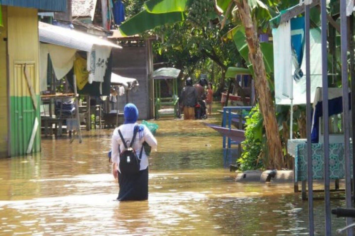 Banjir Luapan Sungai Barito Meluas