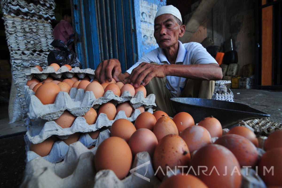 Harga Telur Ayam Ras di Madiun Stabil Tinggi