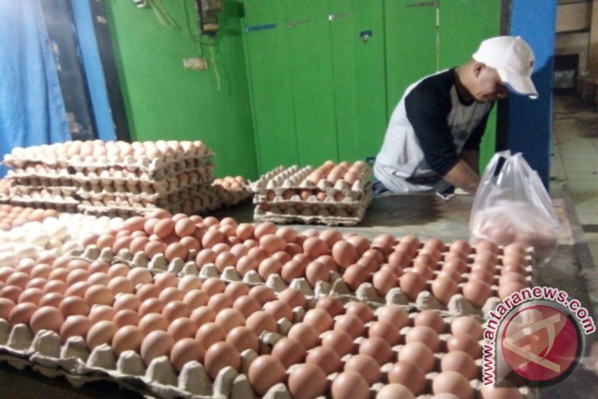 Stok kurang, harga telur ayam di Baubau naik