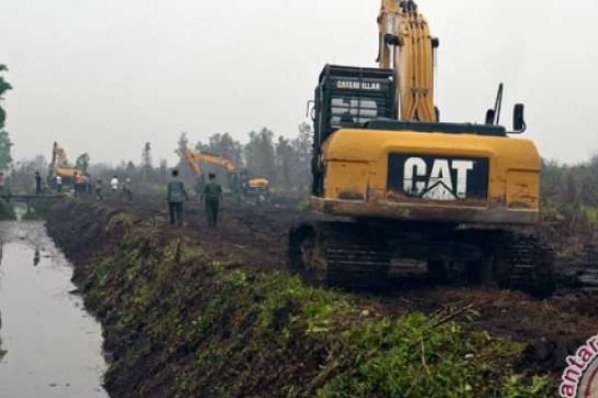 Antisipasi Musim Kemarau, Siak Rencanakan Bangun Embung Untuk Pengairan Sawah