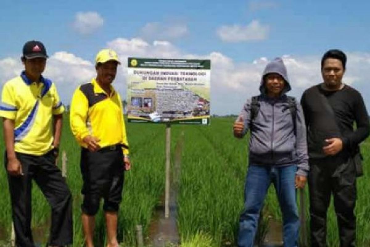 BPTP Riau Dorong Pengembangan Pertanian Daerah Perbatasan
