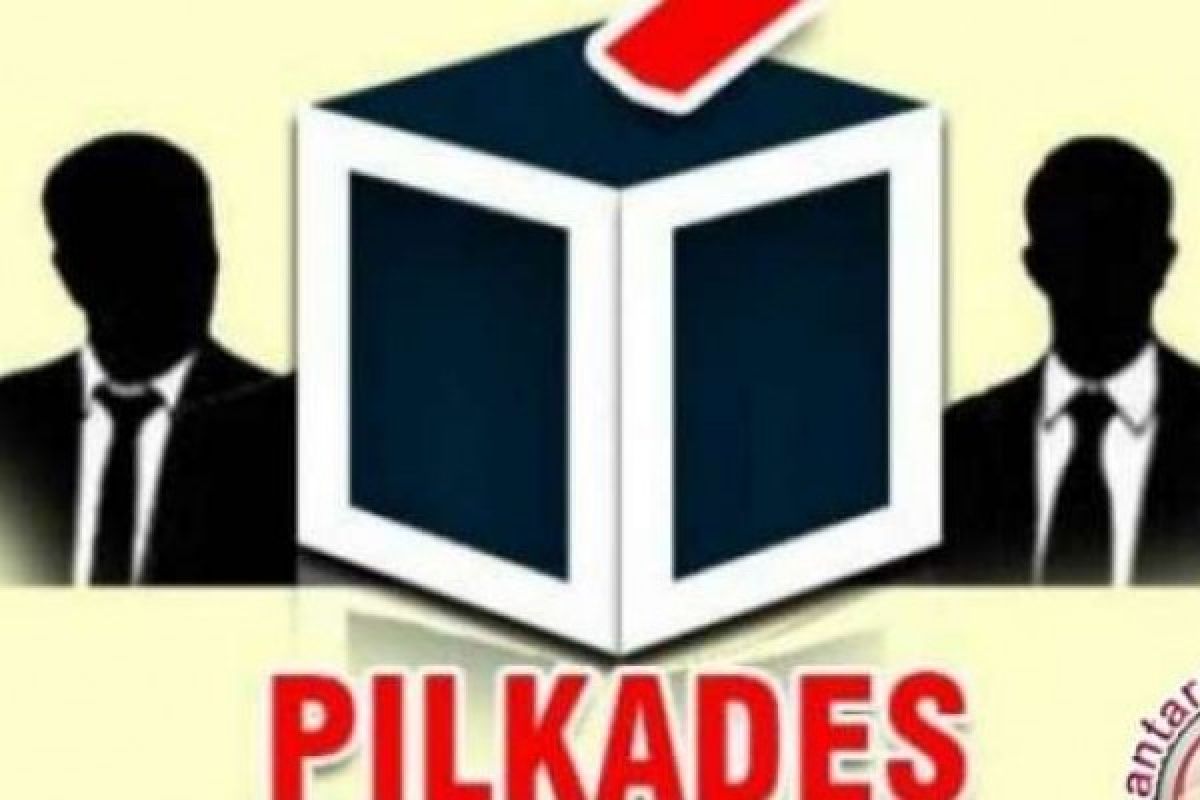 Bupati Kuansing Lakukan Peninjauan Langsung Pelaksanaan Pilkades