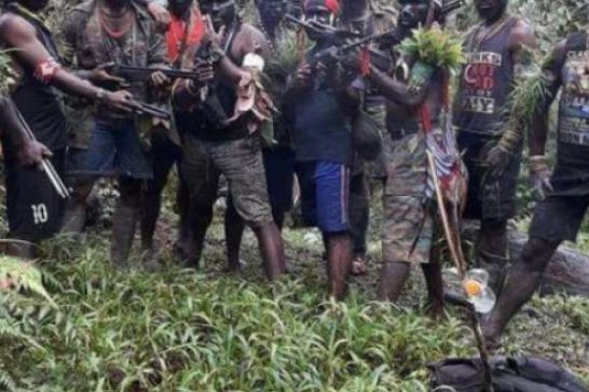 KKB Papua tembak warga di Mulia