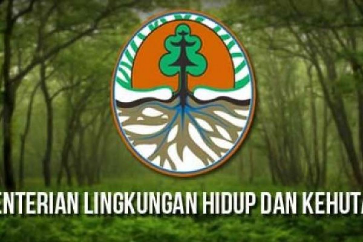 Pemprov Riau Akan Sambangi KLHK Untuk Klarifikasi RTRW