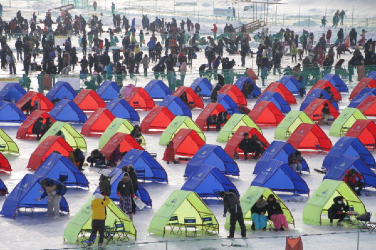 Dua festival musim dingin yang seru di Korea Selatan