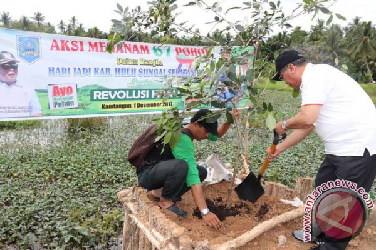 Pemkab HSS  Tanam 67 Pohon