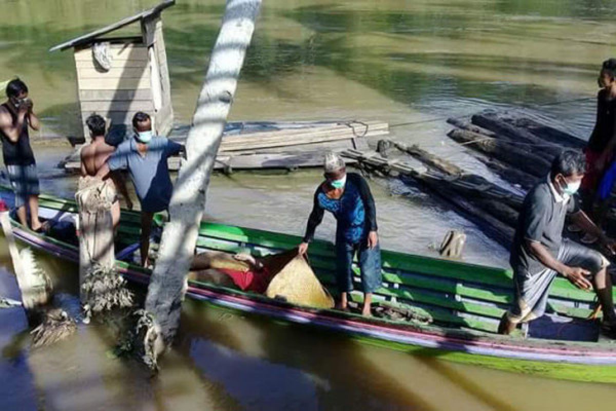 Jasad Warga Tenggelam di Sungai Teweh  Ditemukan 